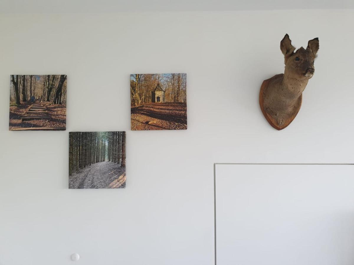 Terrasses De Malmedy - Duplex "Happiness" - Pellet & Airco-アパートメント エクステリア 写真